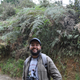 Rodolfo Correa Peña